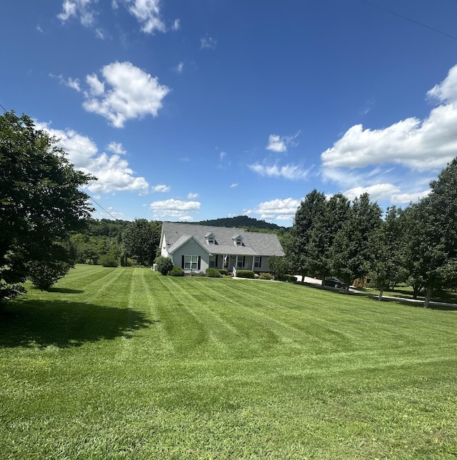 1224 Whiteside Hill Rd, Wartrace, TN 37183 - view of grassy yard