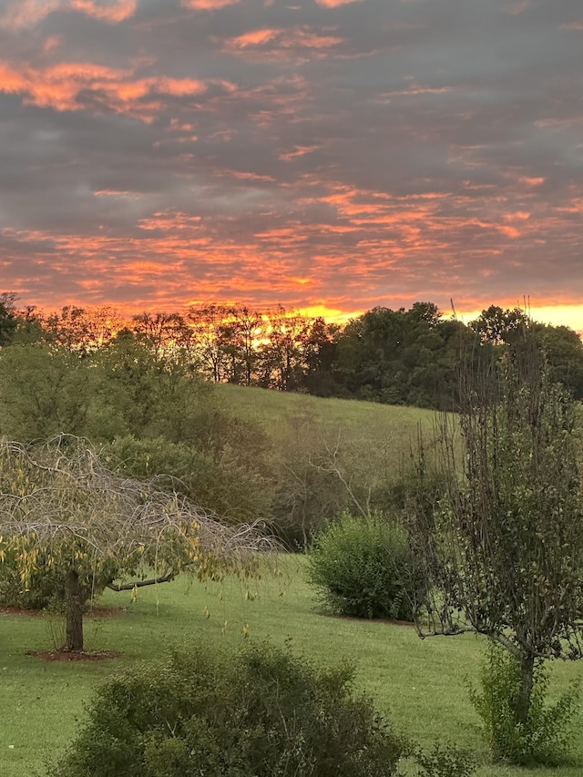 1224 Whiteside Hill Rd, Wartrace, TN 37183 - view of nature at dusk