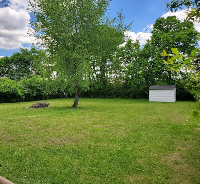 514 Wren Dr, Clarksville, TN 37040 - view of green lawn featuring a storage unit, an outdoor structure, and view of wooded area