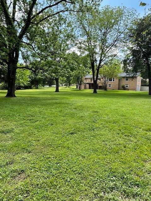 view of green lawn