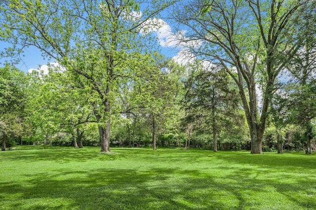 view of grassy yard