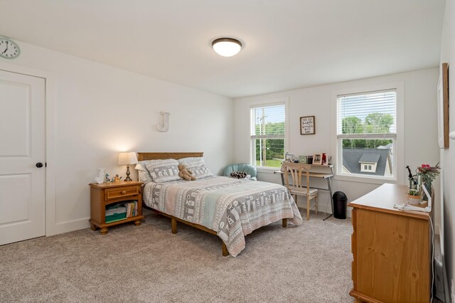 523 Mcgrath Dr, Smyrna, TN 37167 - photo 34