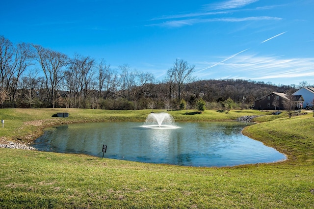 1049 Oglethorpe Dr, Franklin, TN 37064 - photo 27