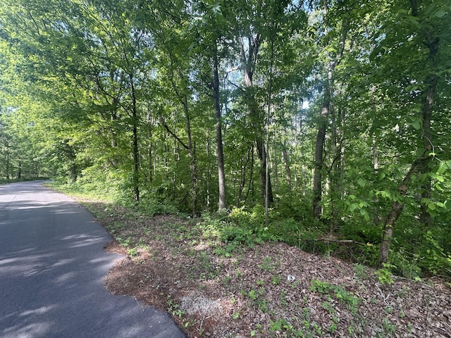 0 Oak Hill Rd, Lyles, TN 37098