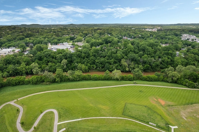 654 Taylor Bend Rd, Columbia, TN 38401 - drone / aerial view