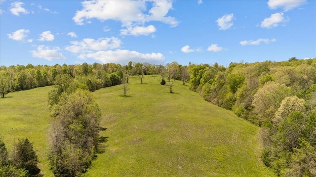 0 Matthews Hollow Rd, Waverly, TN 37185