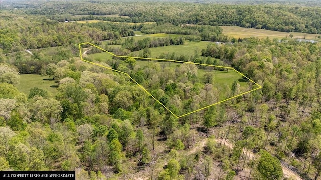 0 Matthews Hollow Rd, Waverly, TN 37185