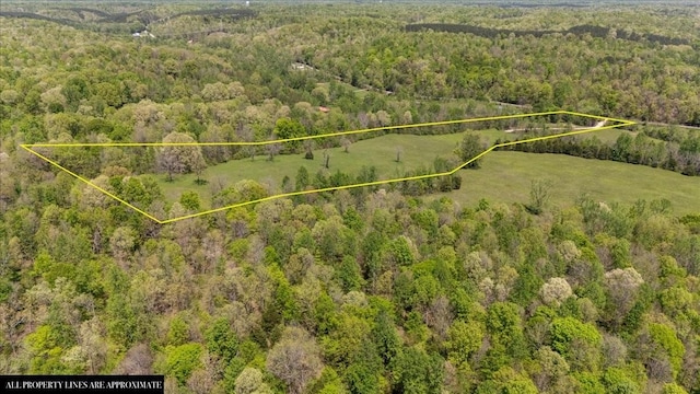 0 Matthews Hollow Rd, Waverly, TN 37185