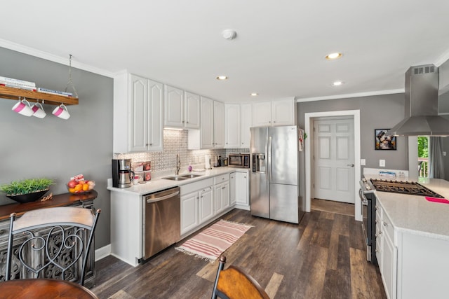 kitchen featuring appliances with stainless steel finishes, range hood, a sink, crown molding, and dark wood-style floors
