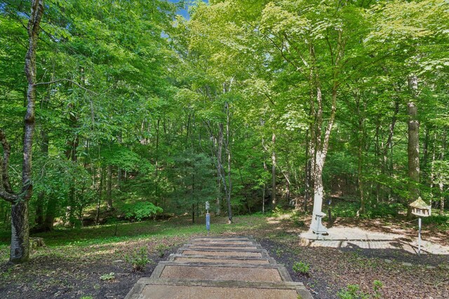 view of yard featuring a wooded view