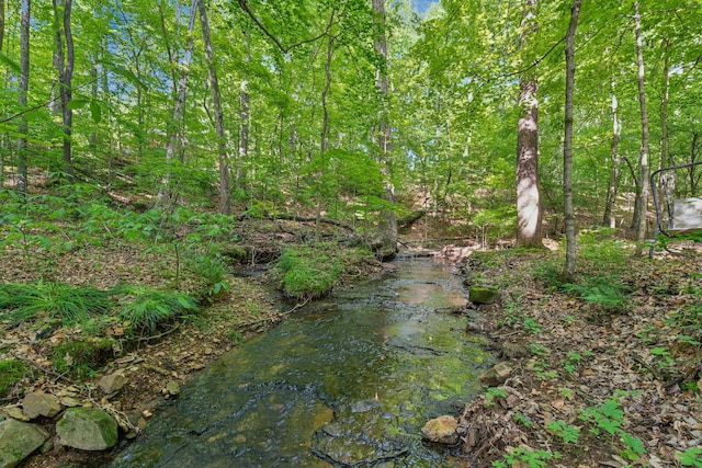 view of undeveloped land