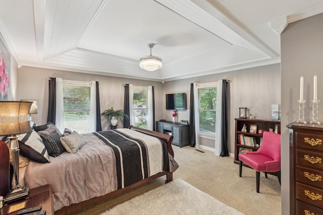 carpeted bedroom with a raised ceiling and crown molding