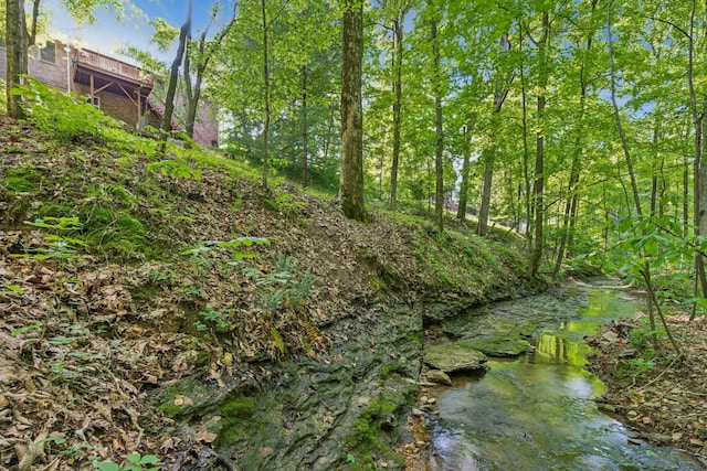 view of local wilderness
