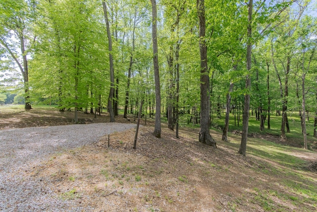 850 Elizabeth Ln, Savannah, TN 38372