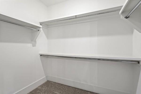 spacious closet featuring carpet floors