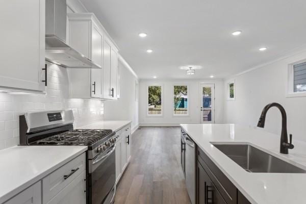 kitchen featuring appliances with stainless steel finishes, wall chimney range hood, a sink, wood finished floors, and light countertops