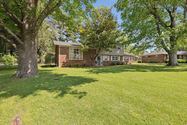 906 Temple Ct, Murfreesboro, TN 37130 - view of grassy yard