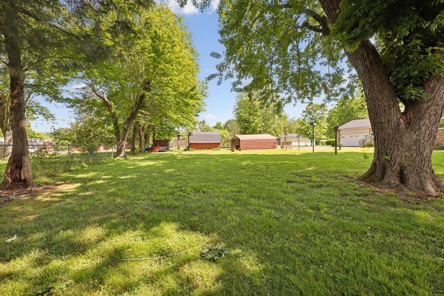 906 Temple Ct, Murfreesboro, TN 37130 - view of yard