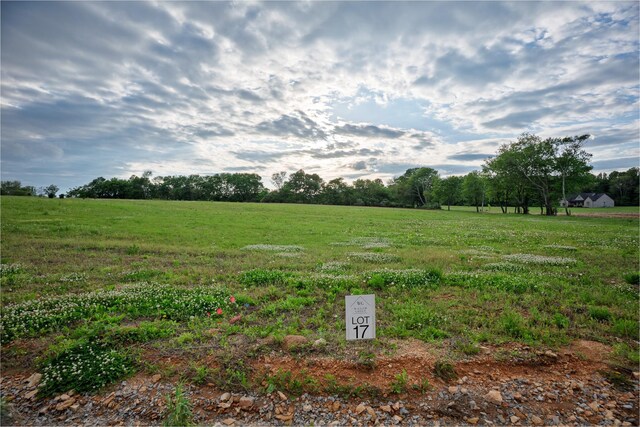 24 Watson Ct, Leoma, TN 38468