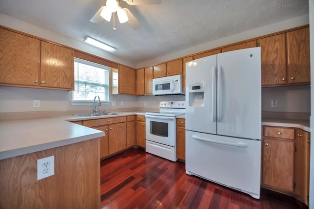 kitchen with white appliances, a sink, dark wood-style floors, light countertops, and a textured ceiling