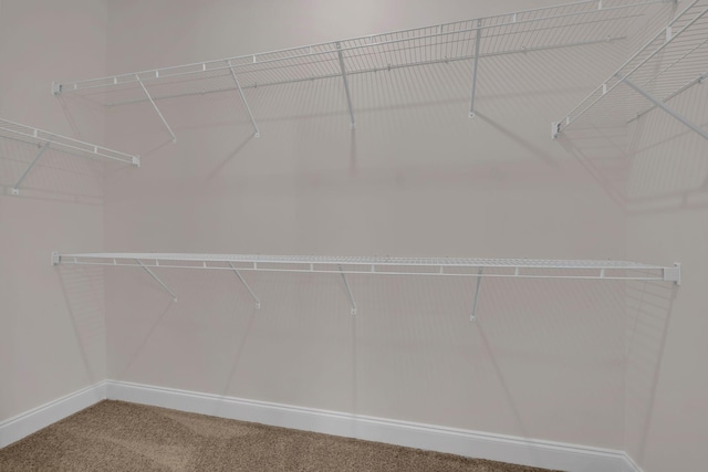 513 Perrin Aly, Antioch, TN 37013 - walk in closet with carpet flooring