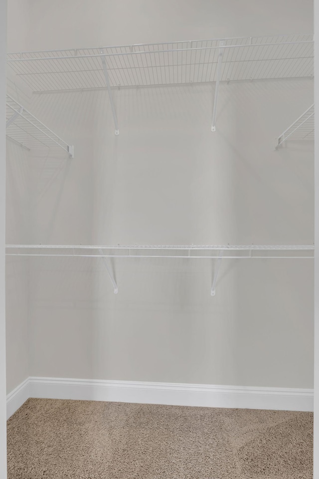 513 Perrin Aly, Antioch, TN 37013 - view of spacious closet