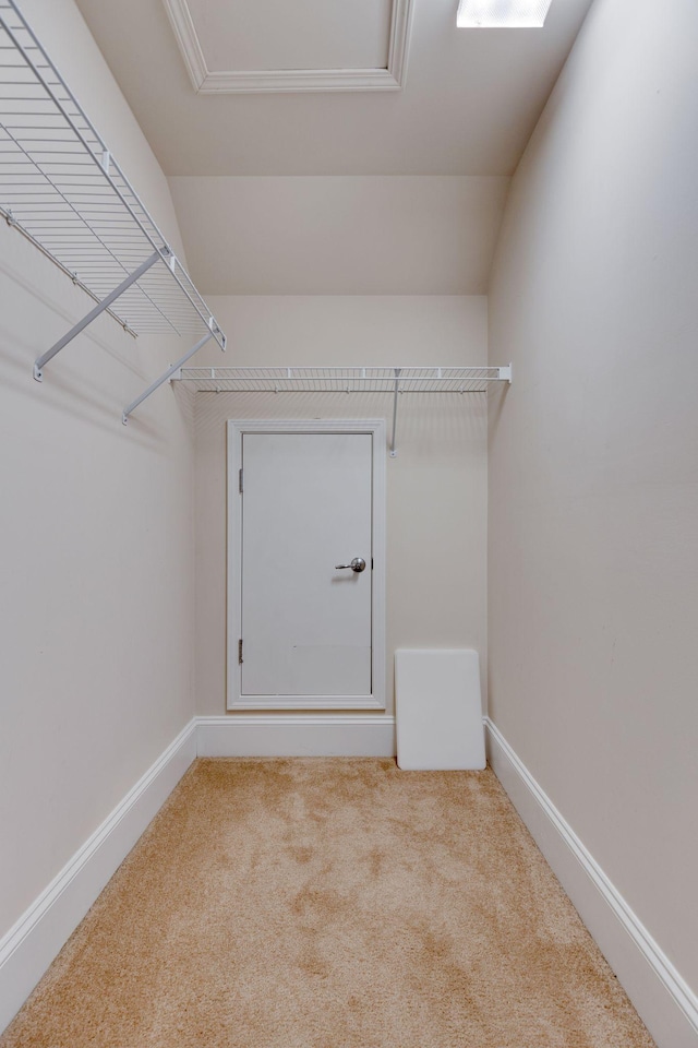 spacious closet with carpet floors