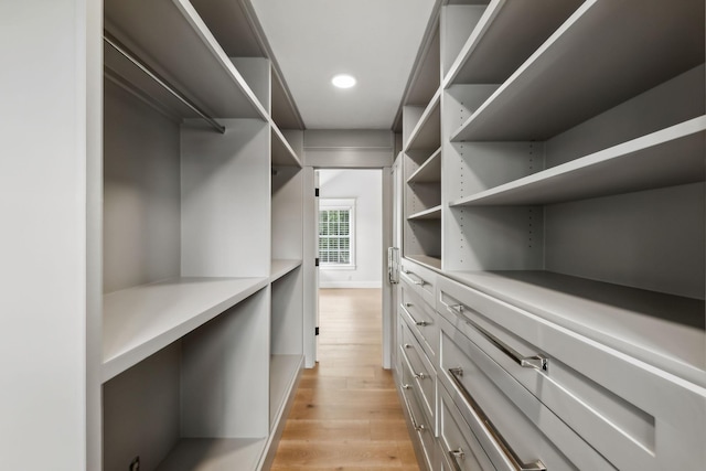 503 Mable Mason Cv, La Vergne, TN 37086 - walk in closet with light wood-style flooring