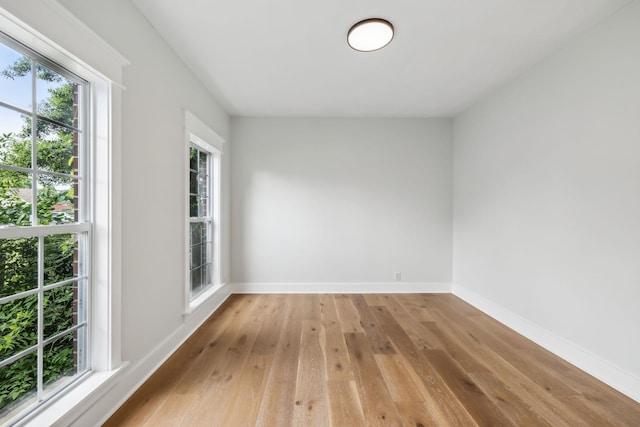 503 Mable Mason Cv, La Vergne, TN 37086 - spare room with light wood-style flooring, plenty of natural light, and baseboards
