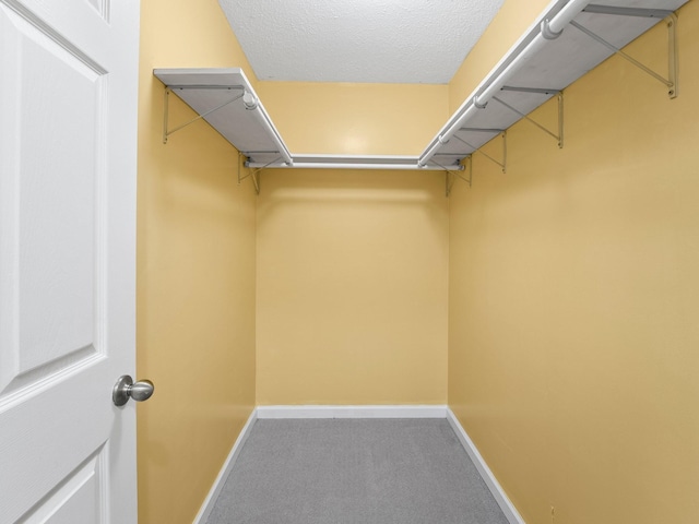 walk in closet with carpet flooring