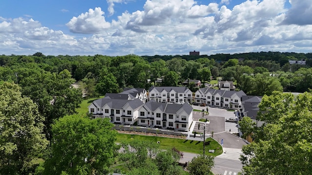 bird's eye view of a forest