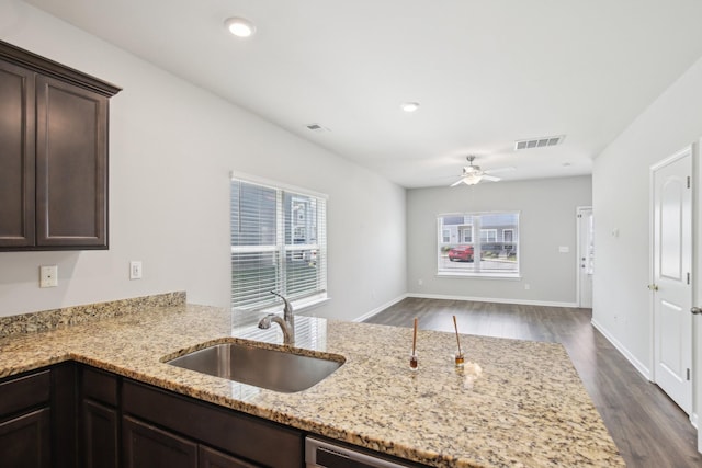 kitchen featuring a sink, dark brown cabinetry, dark wood-style floors, ceiling fan, and light stone counters