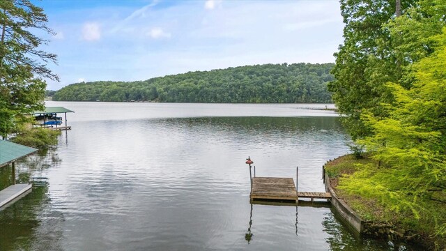 237 Windsor Ct, Spring City, TN 37381 - dock with a view of trees and a water view