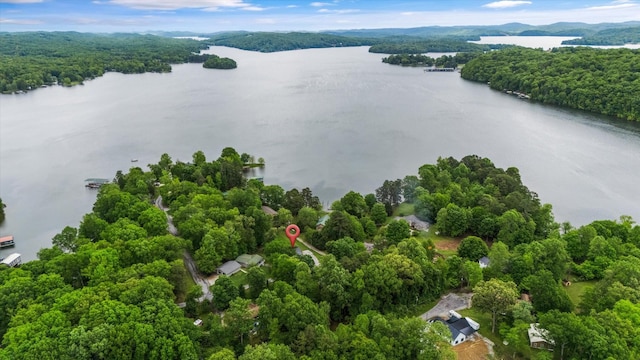 237 Windsor Ct, Spring City, TN 37381 - aerial view of a nearby body of water and a heavily wooded area