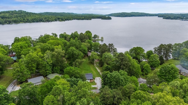 237 Windsor Ct, Spring City, TN 37381 - aerial view of a large body of water and a heavily wooded area