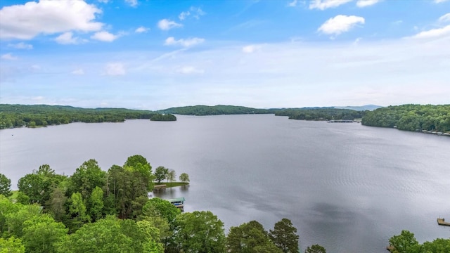 237 Windsor Ct, Spring City, TN 37381 - water view with a heavily wooded area