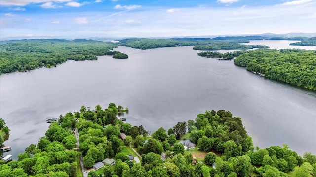 237 Windsor Ct, Spring City, TN 37381 - bird's eye view of a large body of water and a heavily wooded area
