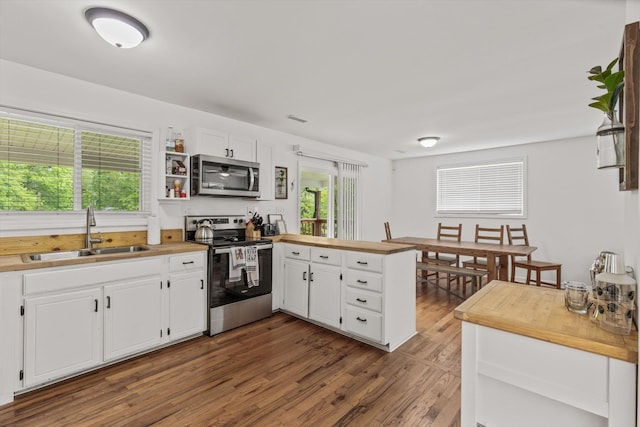 237 Windsor Ct, Spring City, TN 37381 - kitchen featuring stainless steel appliances, a sink, a peninsula, dark wood-style flooring, and white cabinetry