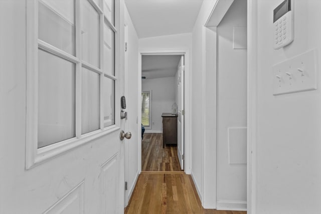 237 Windsor Ct, Spring City, TN 37381 - hallway featuring wood finished floors