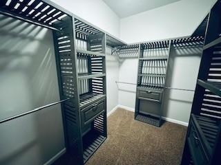 2303 Dewey Dr, Spring Hill, TN 37174 - walk in closet with carpet floors