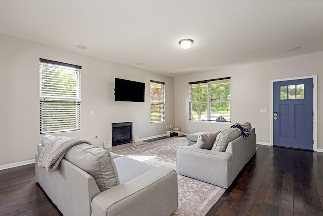 2303 Dewey Dr, Spring Hill, TN 37174 - living area with plenty of natural light, baseboards, and dark wood-type flooring