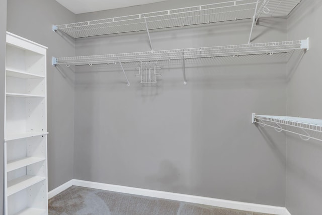spacious closet featuring carpet flooring