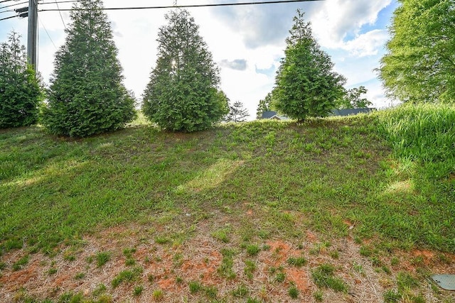 3435 Fleeman Place Dr NE, Cleveland, TN 37323 - photo 21