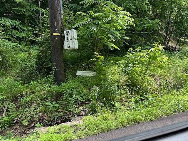 0 River Road Pike, Nashville, TN 37209 - photo 2
