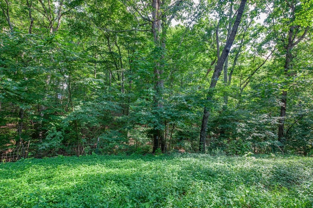 2151 Maysville Rd, Dickson, TN 37055 - photo 91
