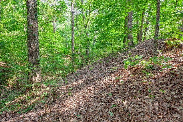 2151 Maysville Rd, Dickson, TN 37055 - photo 89