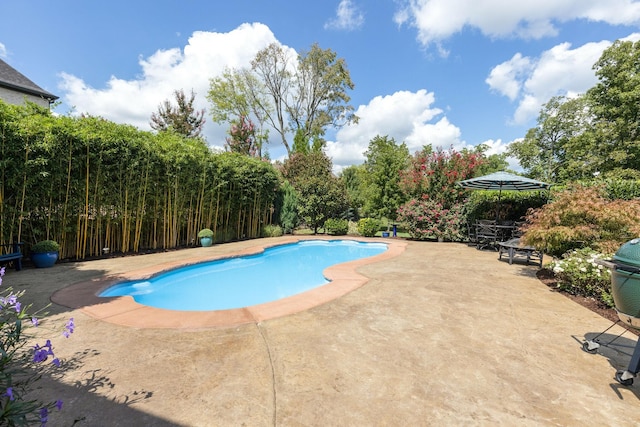 outdoor pool with a patio area