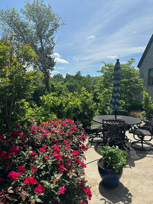 view of patio / terrace featuring outdoor dining space