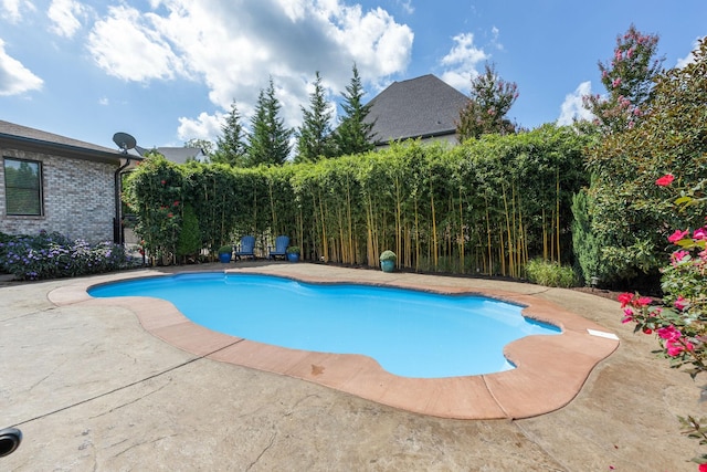 view of swimming pool featuring a patio