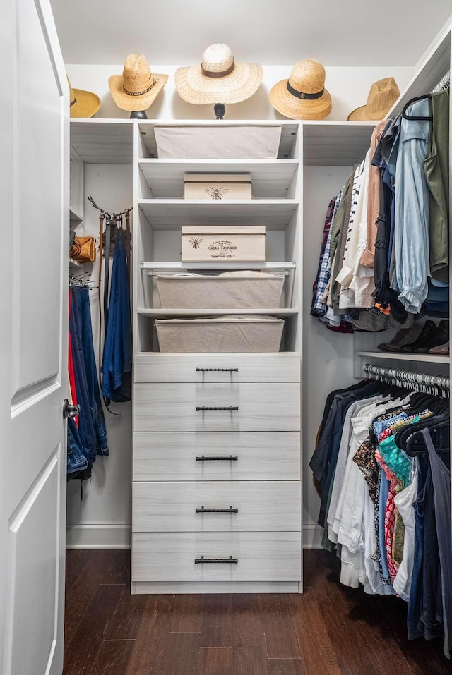 6752 Falls Ridge Ln, College Grove, TN 37046 - spacious closet with dark wood-style floors